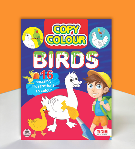 Copy Colour Birds